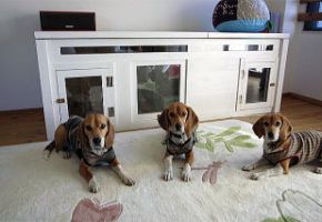 防音犬小屋・・ワンちゃんが吠え近所に迷惑かけると困ったお客様に製作しました。